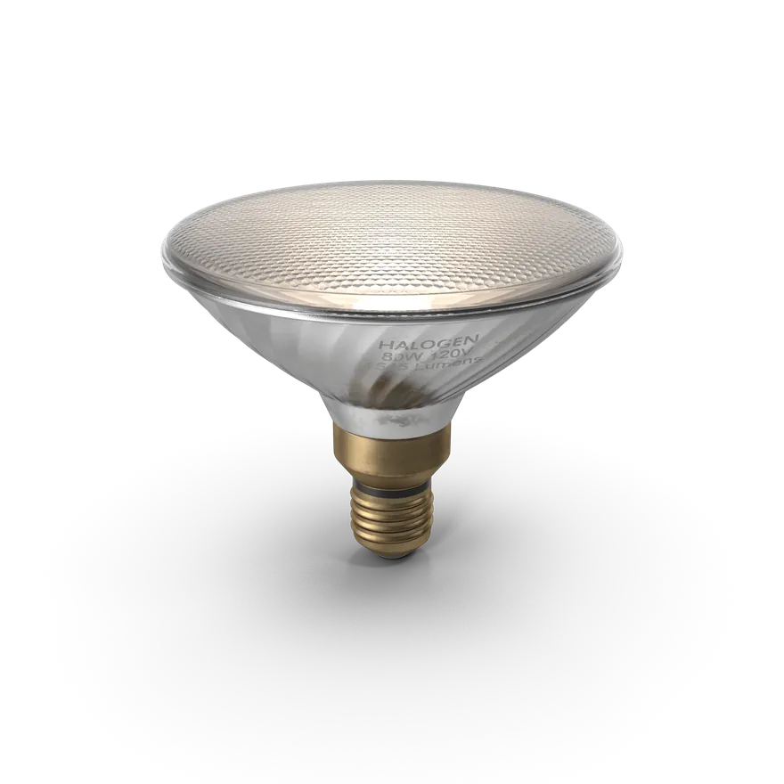 Halogen downlight globe